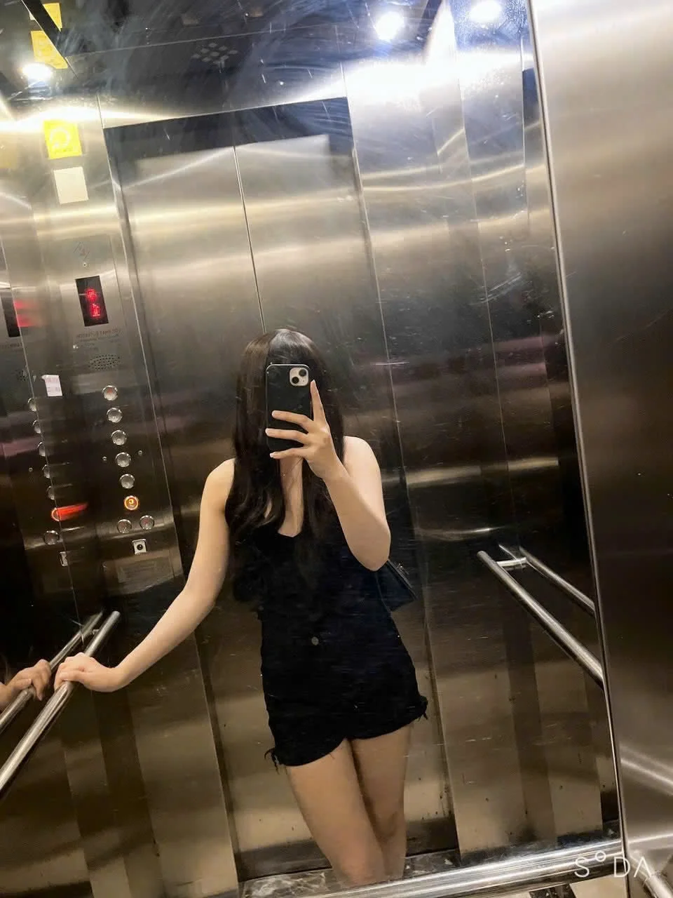 Trinh Mèo