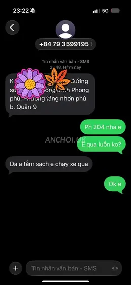 Mỹ Mỹ activity photo 6