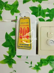 Minh Ngọc activity photo 4