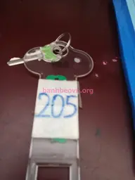Nhật Lệ 的实拍图 2