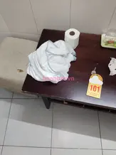 Mai Phương 的实拍图 4