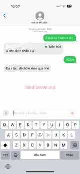Diệu Linh 的实拍图 4